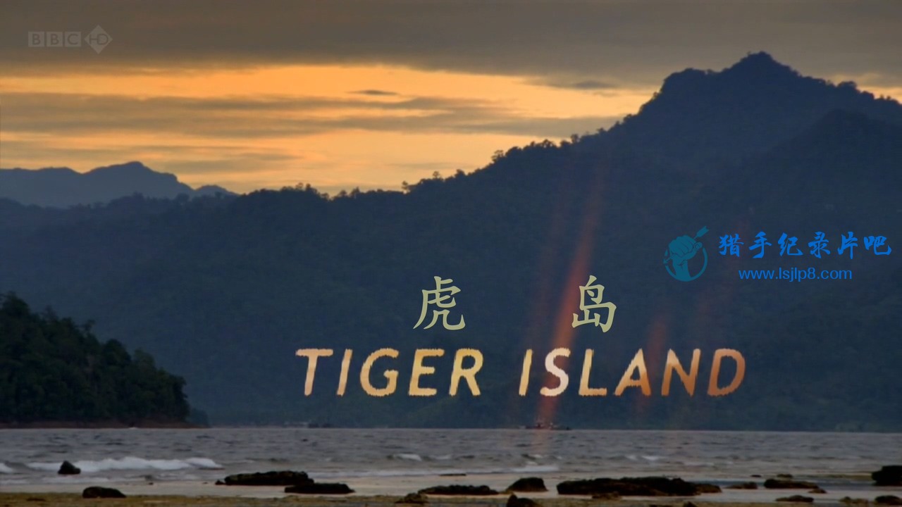 BBC.Natural.World.2012.Tiger.Island.720p.HDTV.x264.AAC.MVGroup.org.mkv_20211209_.jpg