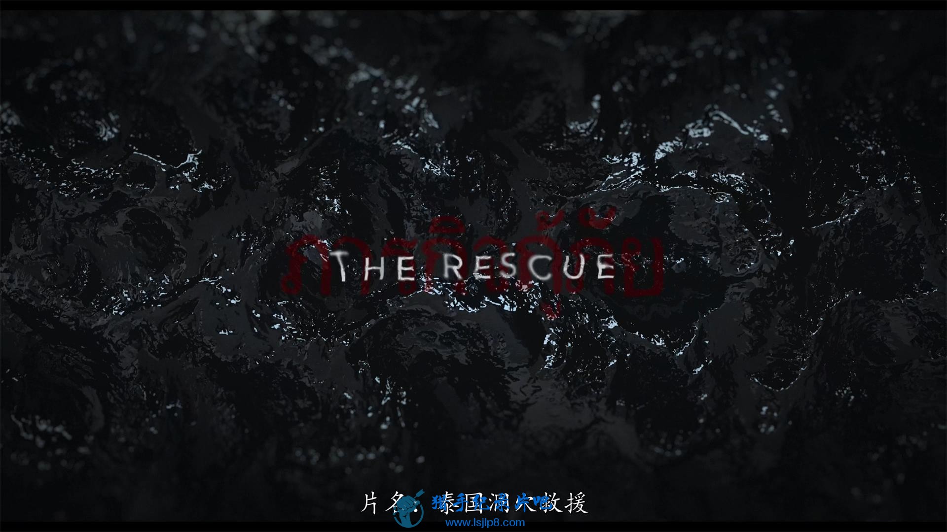 The.Rescue.2021.2160p.WEB-DL.DDP5.1.HEVC-TEPES.jpg
