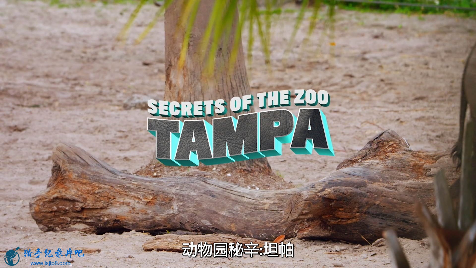 Secrets.Of.The.Zoo.Tampa.S02E01.1080p.DSNP.WEB-DL.DD5.1.H.264-NTb.jpg