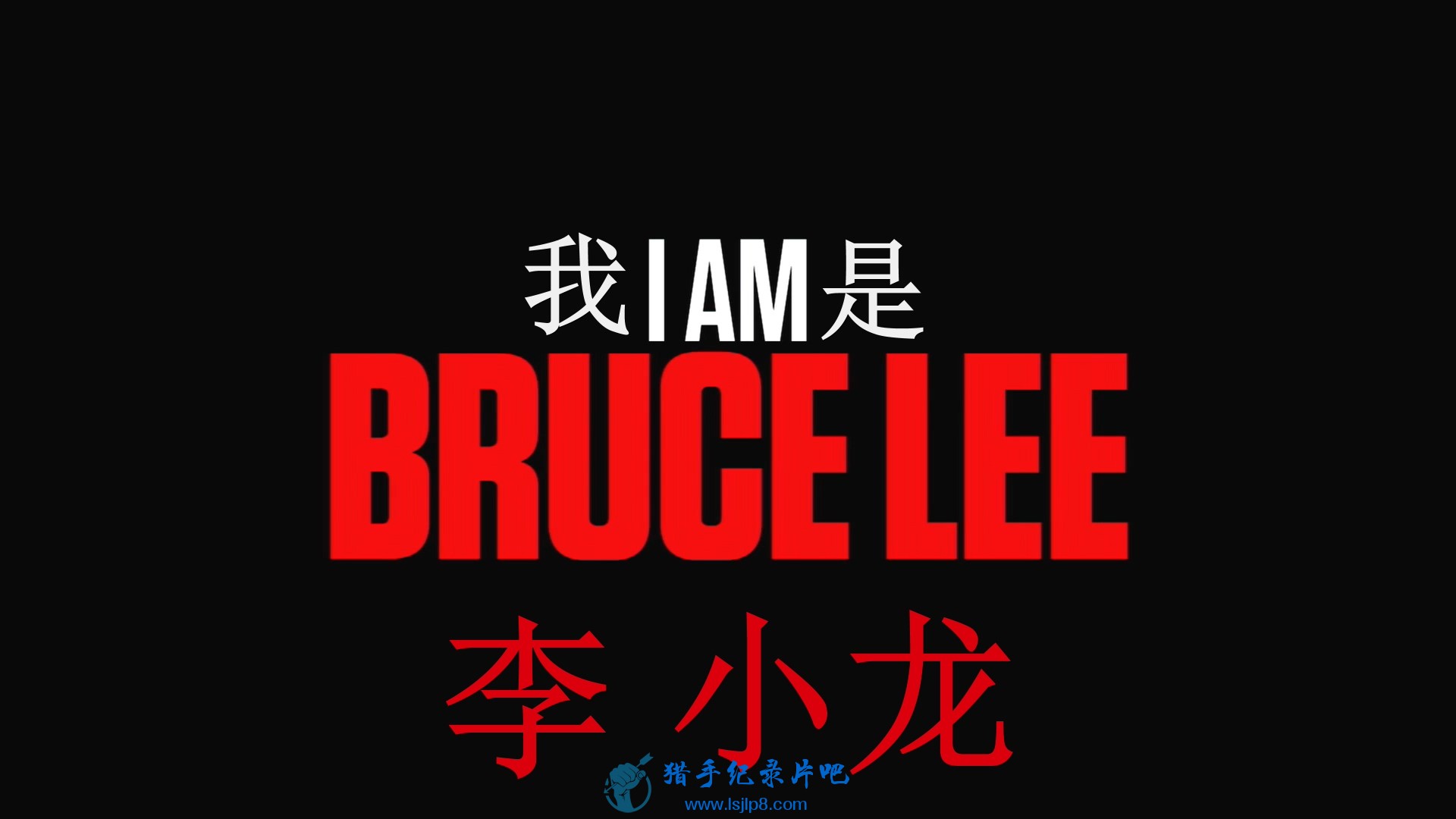 I.Am.Bruce.Lee.2011.1080p.BluRay.x264-GECKOS.mkv_20211230_150549.123.jpg