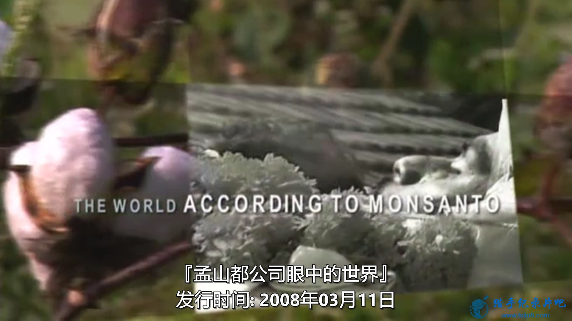 [孟山都公司眼中的世界].The.World.According.To.Monsanto.(2008).DVDRip.AAC.X264-TnT.jpg