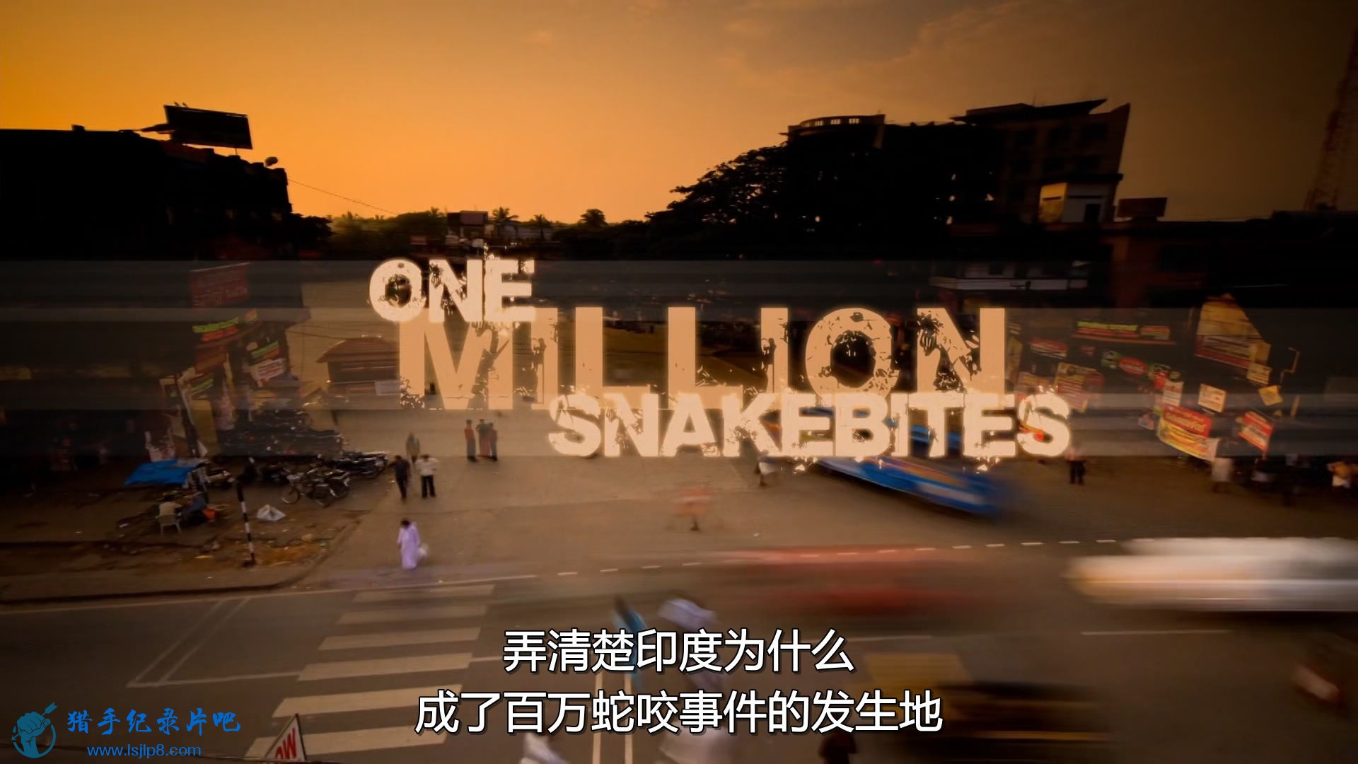 BBC.Natural.World.2011.One.Million.Snake.Bites.1080p.HDTV.x265.AAC.MVGroup.org.jpg