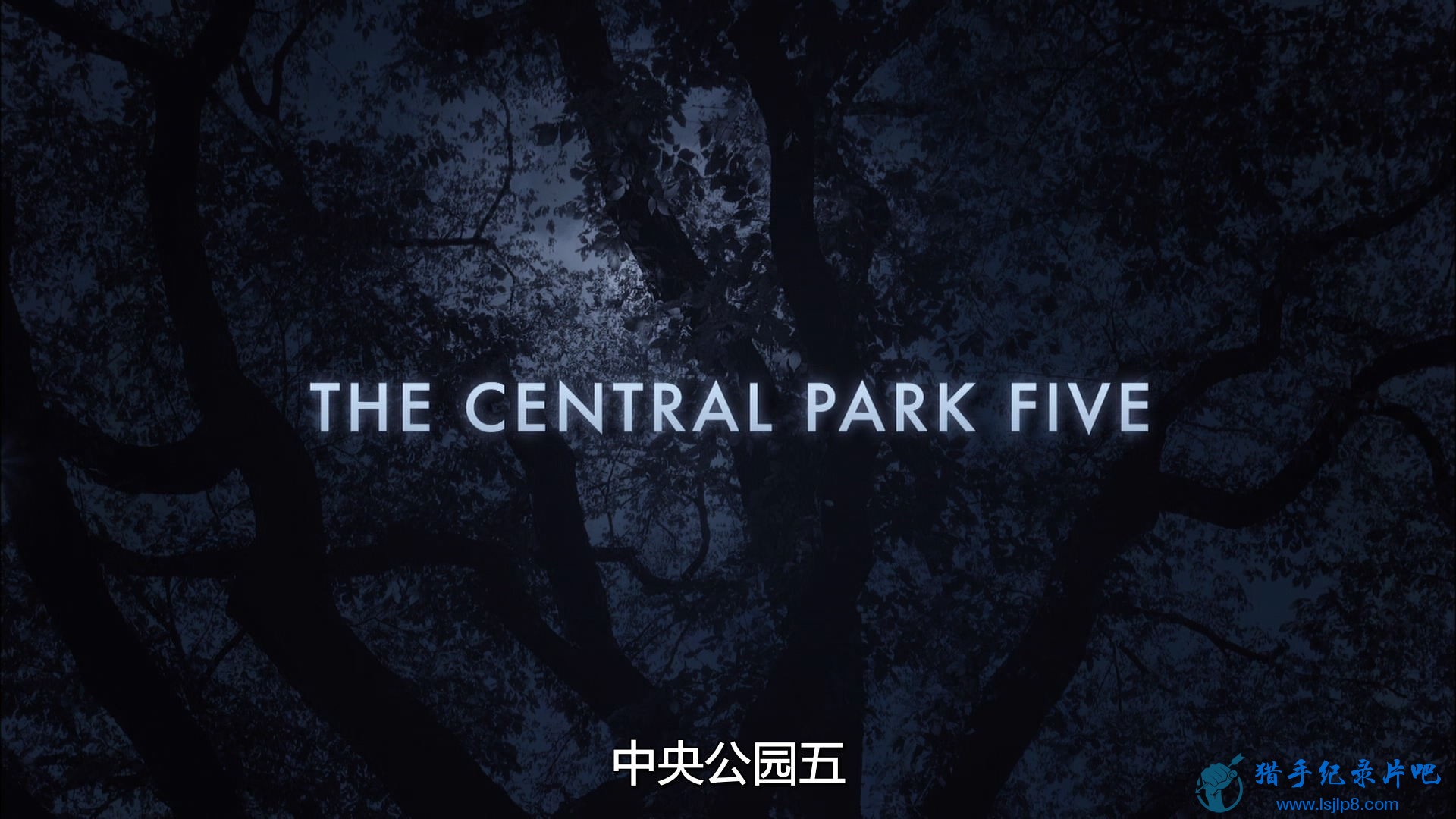 The Central Park Five (2012) (1080p BluRay x265 Silence).jpg