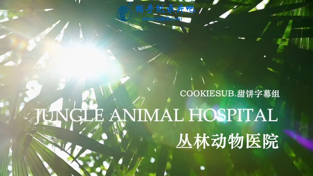 BBC.自然世界.丛林动物医院.Natural.World.Jungle.Animal.Hospital.2016.中英字幕.HDT.jpg