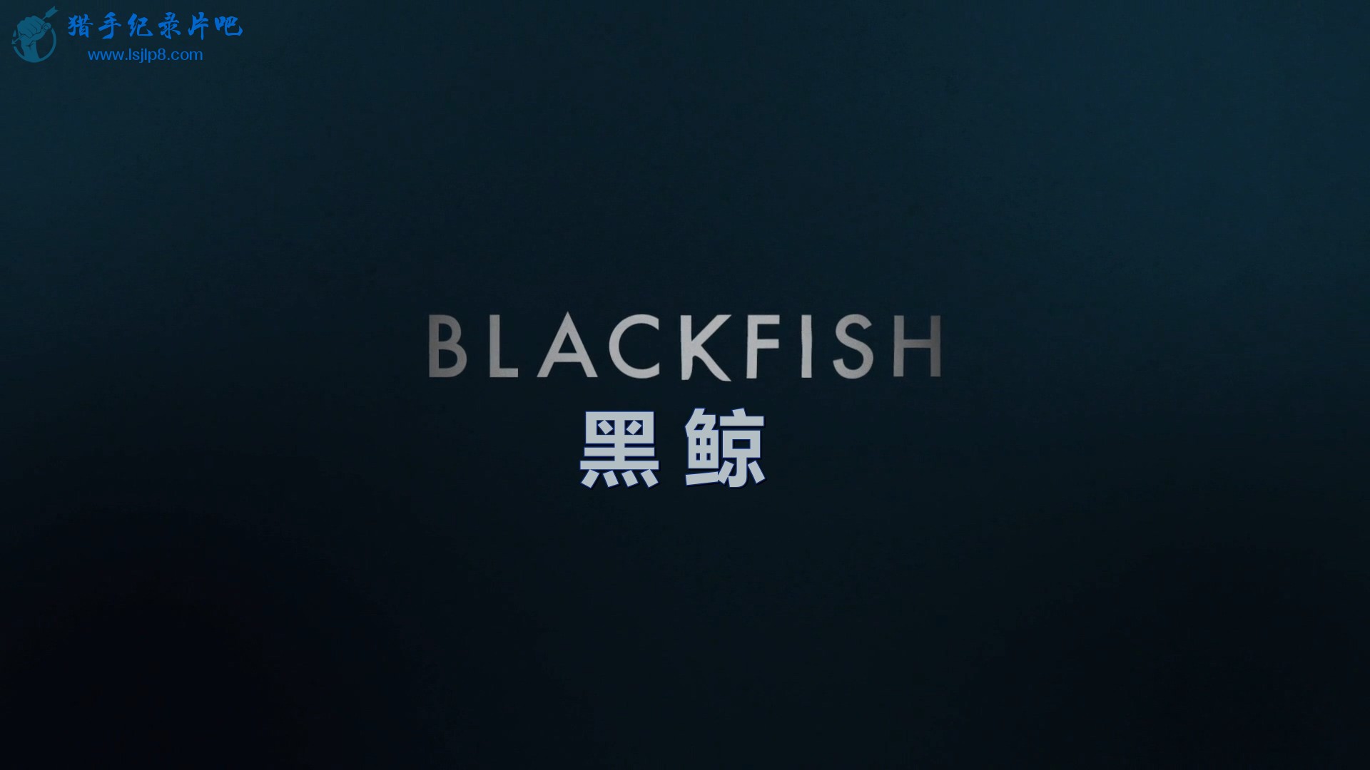 Blackfish.2013.1080p.BluRay.x264-GECKOS.mkv_20220127_113356.956.jpg