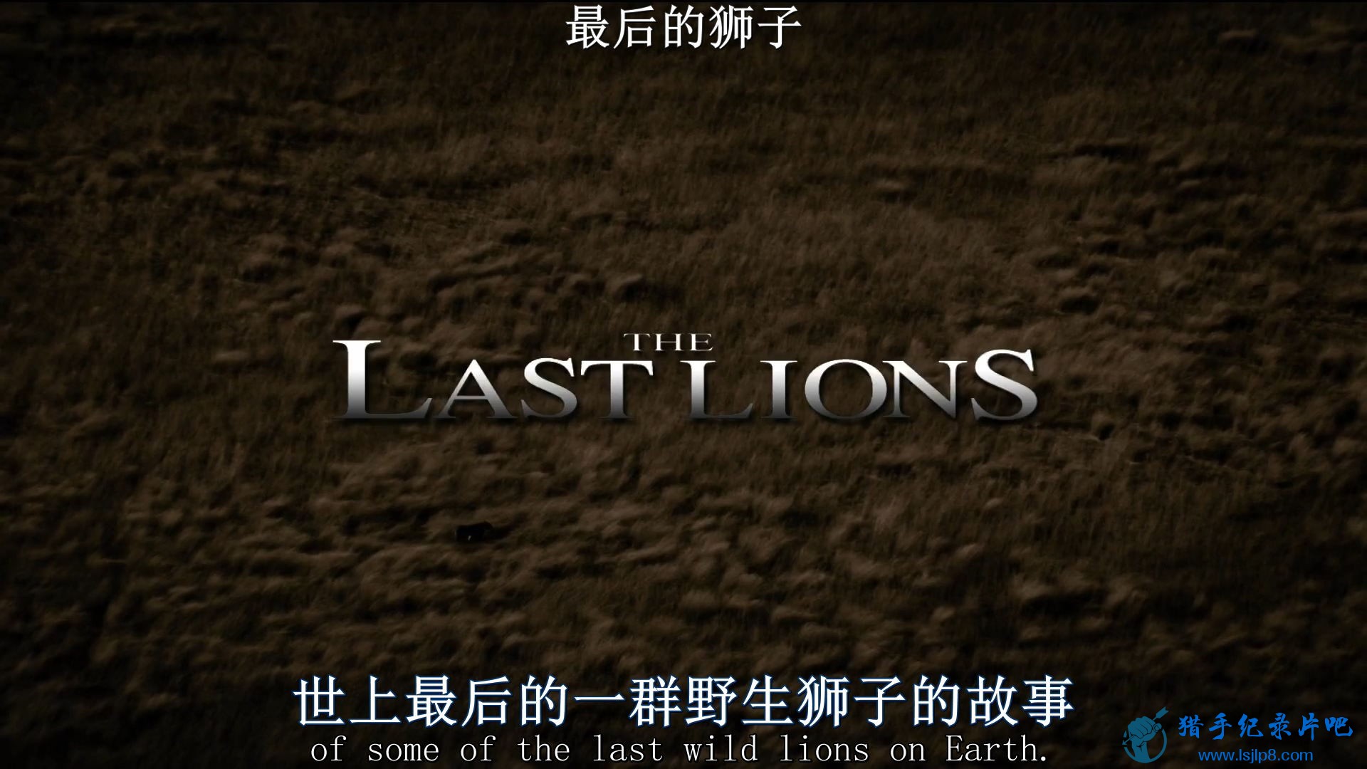 The.Last.Lions.2011.1080p.BluRay.H264.AAC-RARBG.jpg