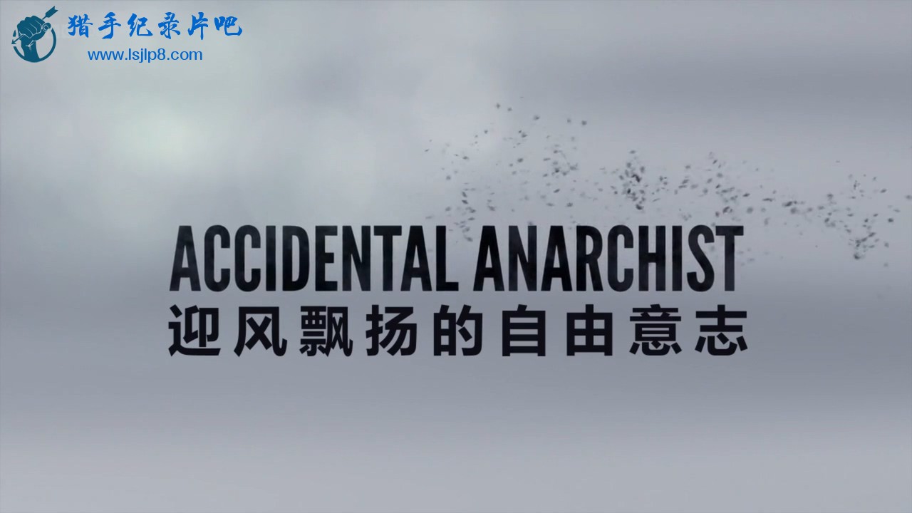 民主旗帜.BBC.Storyville.2017.Accidental.Anarchist.720p.Orange字幕组.mp4_20220206.jpg