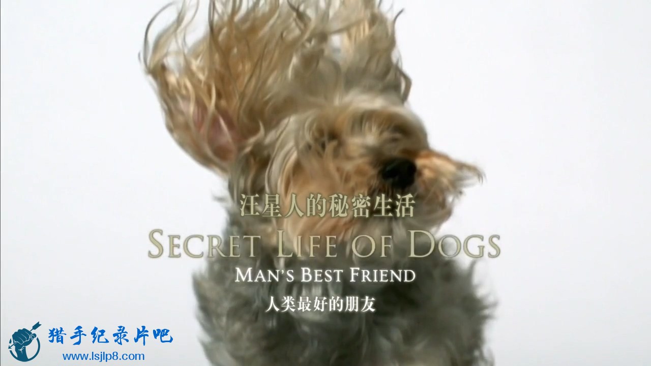 OSF 汪星人的秘密生活 1 Secret Life Of Dogs 1.Mans.Best.Friend.720p.jlpjz.mp4_202.jpg