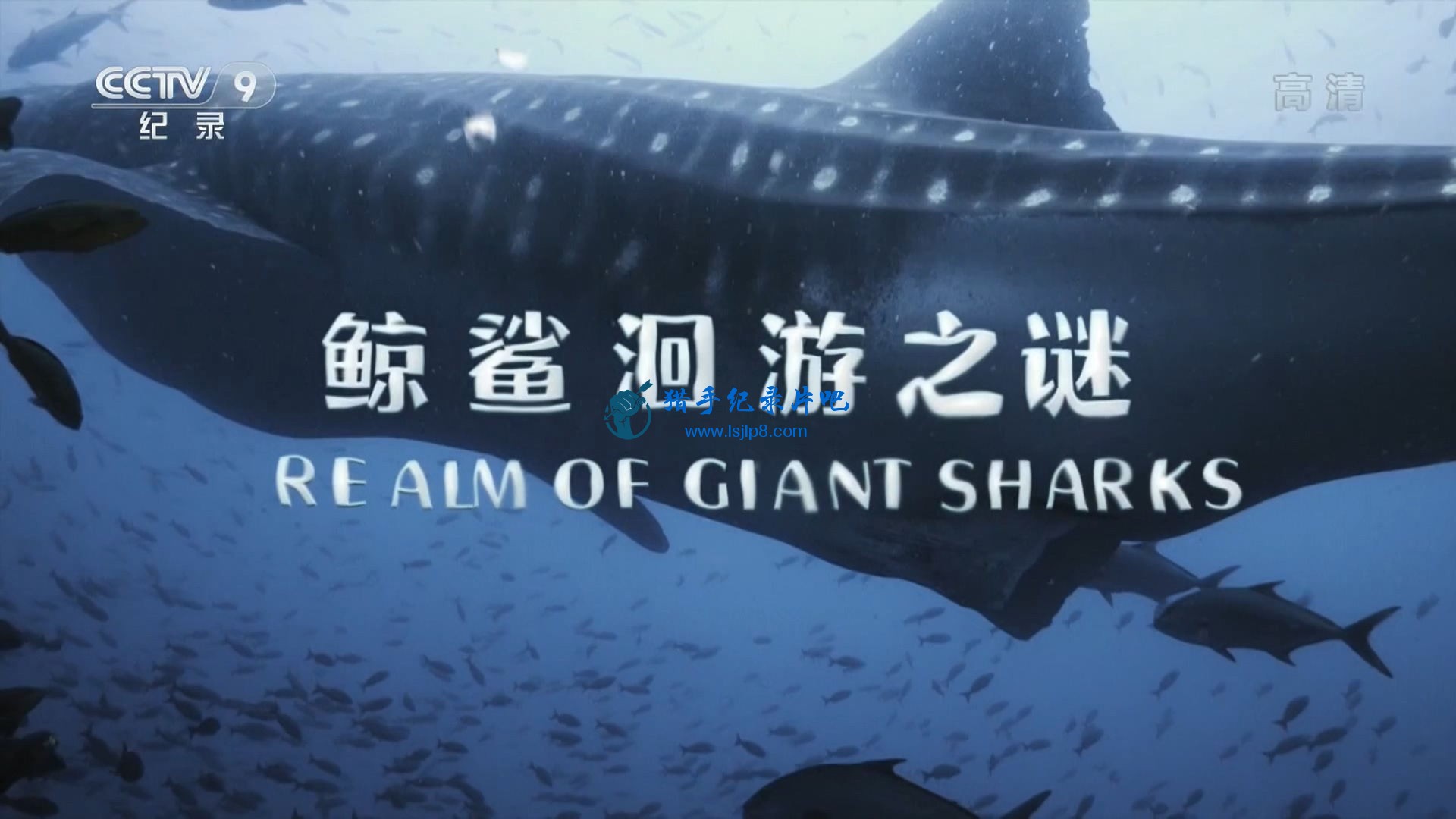 鲸鲨洄游之谜.1080p.WEB-DL.H264.AAC.[www.lsjlp8.com].jpg