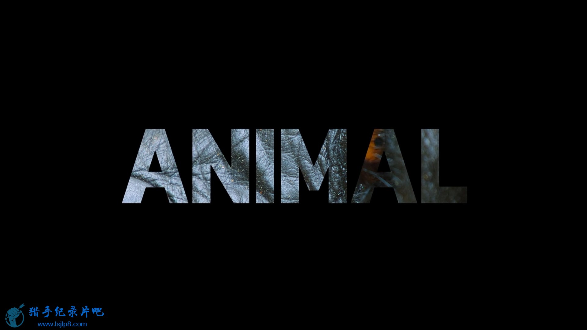 Animal.2021.S02E01.Apes.1080p.NF.WEB-DL.DDP5.1.Atmos.x264-TEPES.mkv_20220320_202.jpg