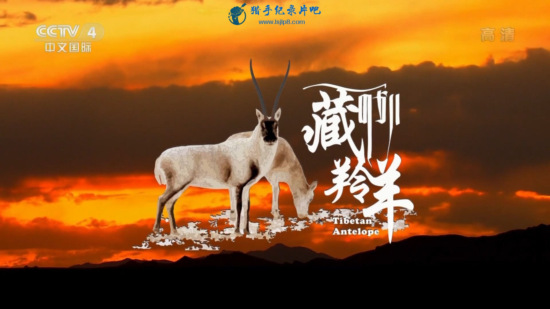 藏羚羊.HDTV.1080i.H264.AAC.[www.lsjlp8.com].jpg