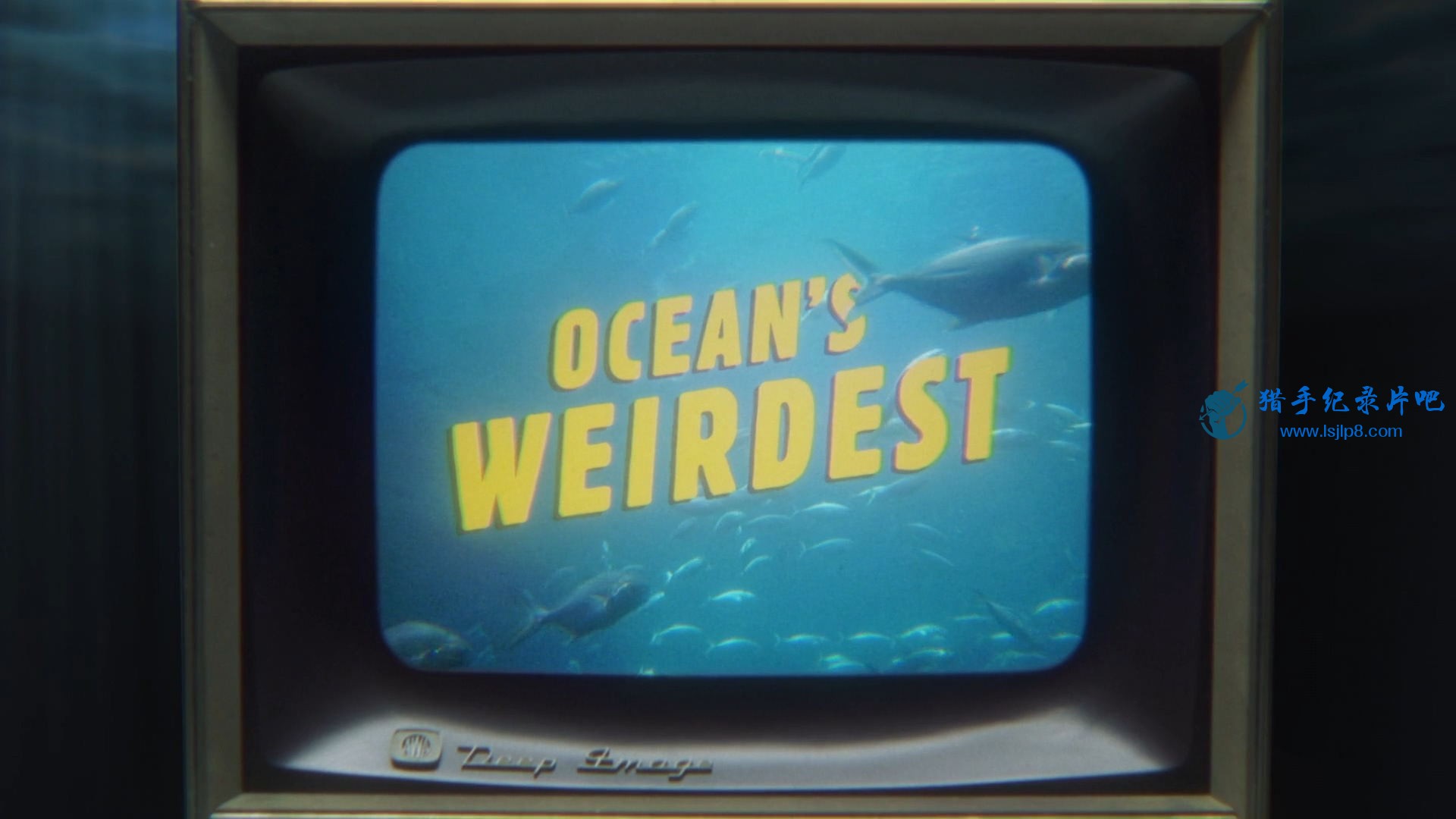 Oceans.Weirdest.S01E01.1080p.DSNP.WEB-DL.DD5.1.H.264-NTb.jpg
