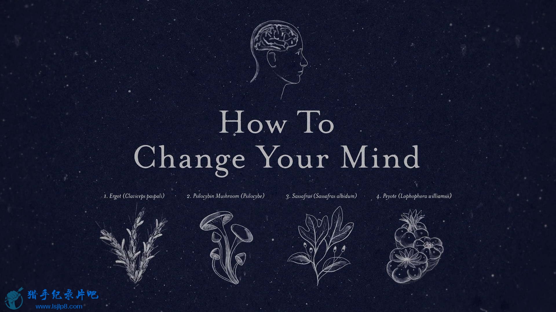 How.to.Change.Your.Mind.S01E01.Chapter.1.LSD.1080p.NF.WEB-DL.DDP5.1.x264-SMURF.jpg