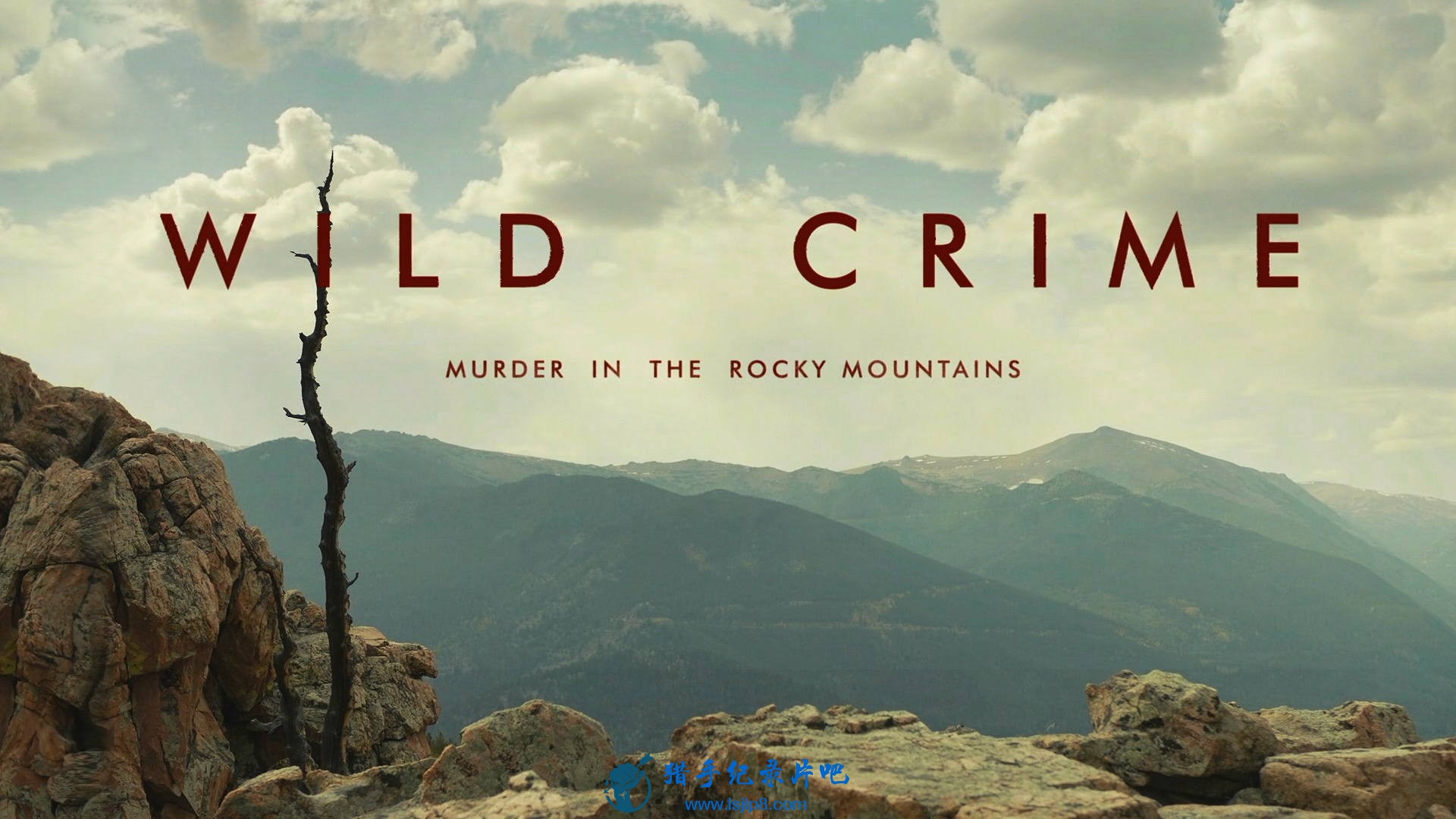 Wild.Crime.S01E04.1080p.WEB.h264-KOGi.jpg