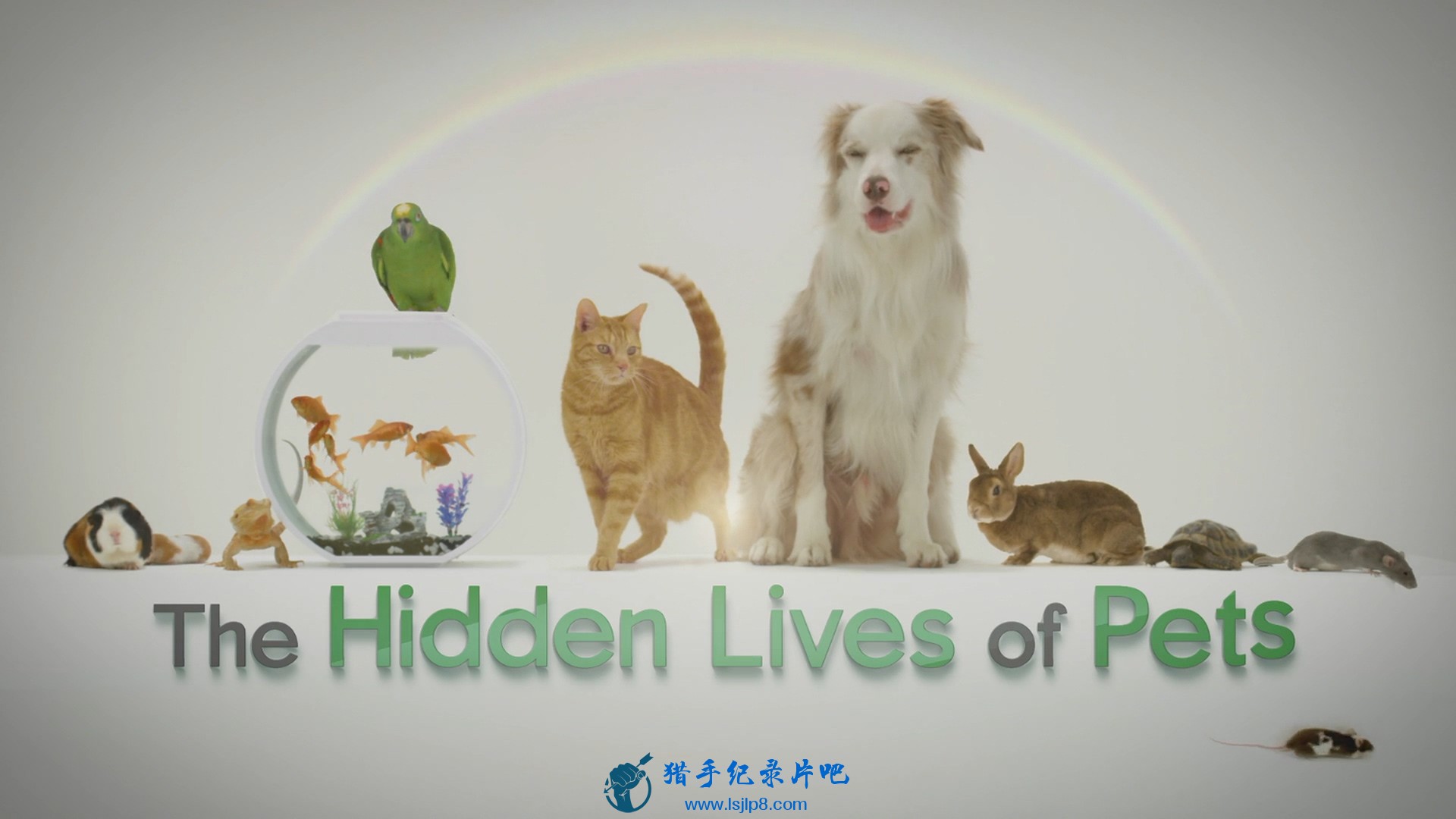 The.Hidden.Lives.of.Pets.S01E01.1080p.WEB.h264-KOGi.mkv_20220803_132611.838.jpg