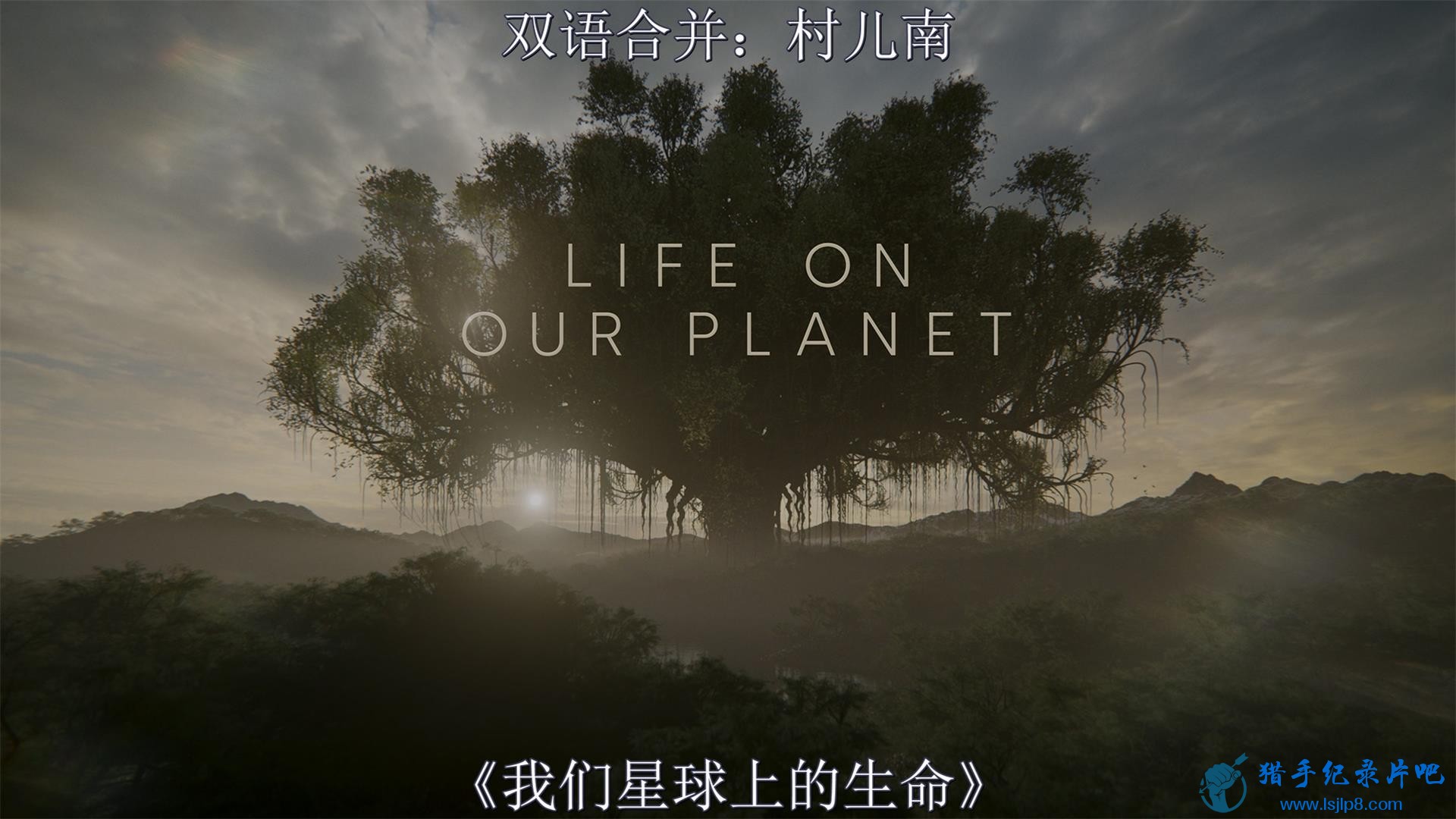 Life on Our Planet (2023) S01E01 (2160p NF WEB-DL Hybrid H265 DV HDR DDP Atmos 5.1 1.jpg