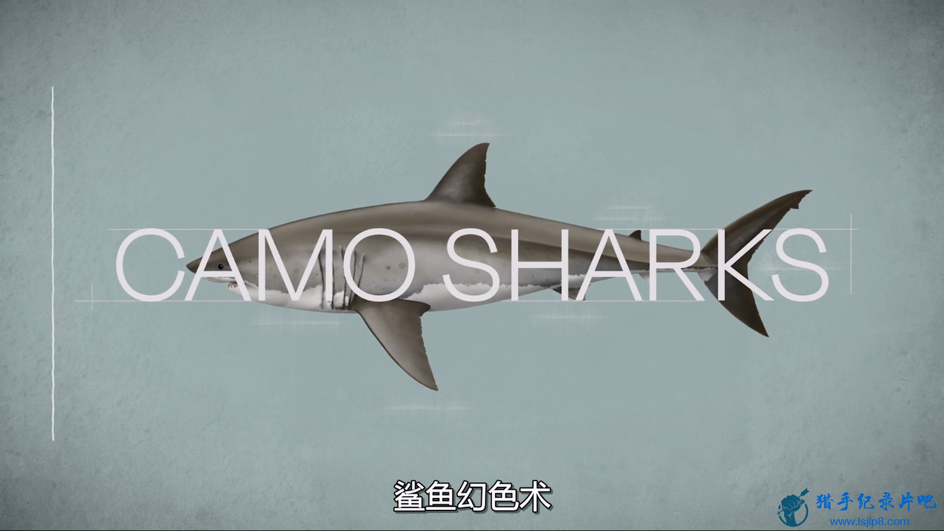 Camo.Sharks.2022.1080p.DSNP.WEB-DL.H264.DDP5.1-LeagueWEB.jpg